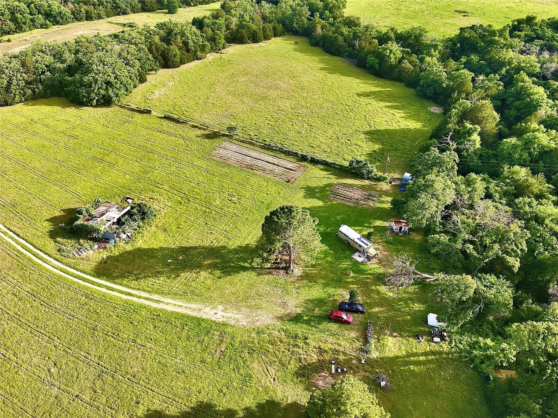 88 acres in Limestone County - photo 11