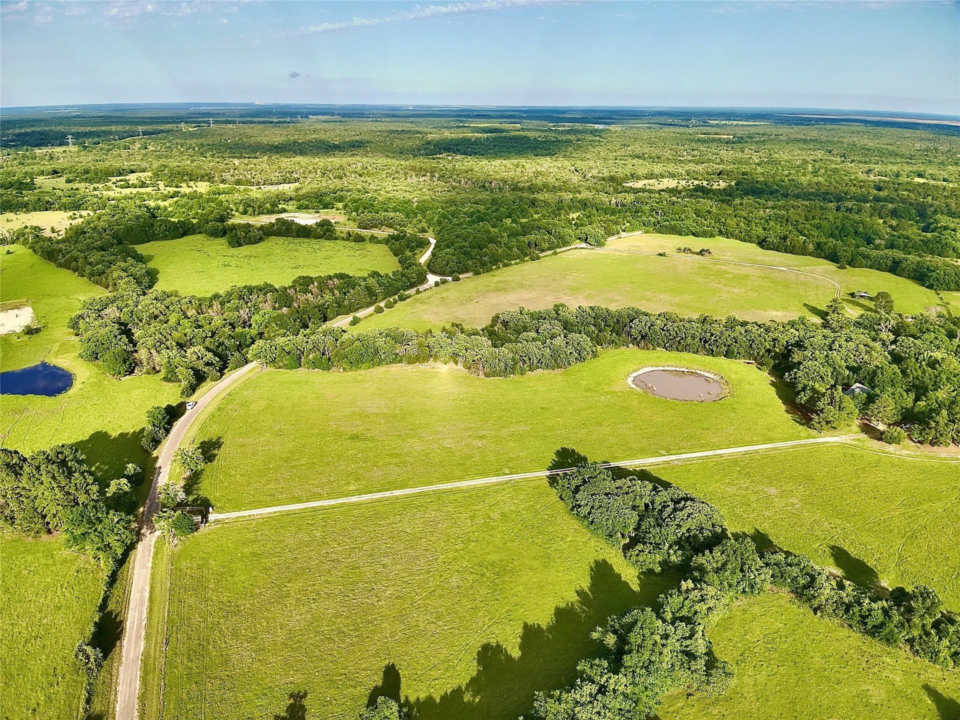 88 acres in Limestone County - photo 3