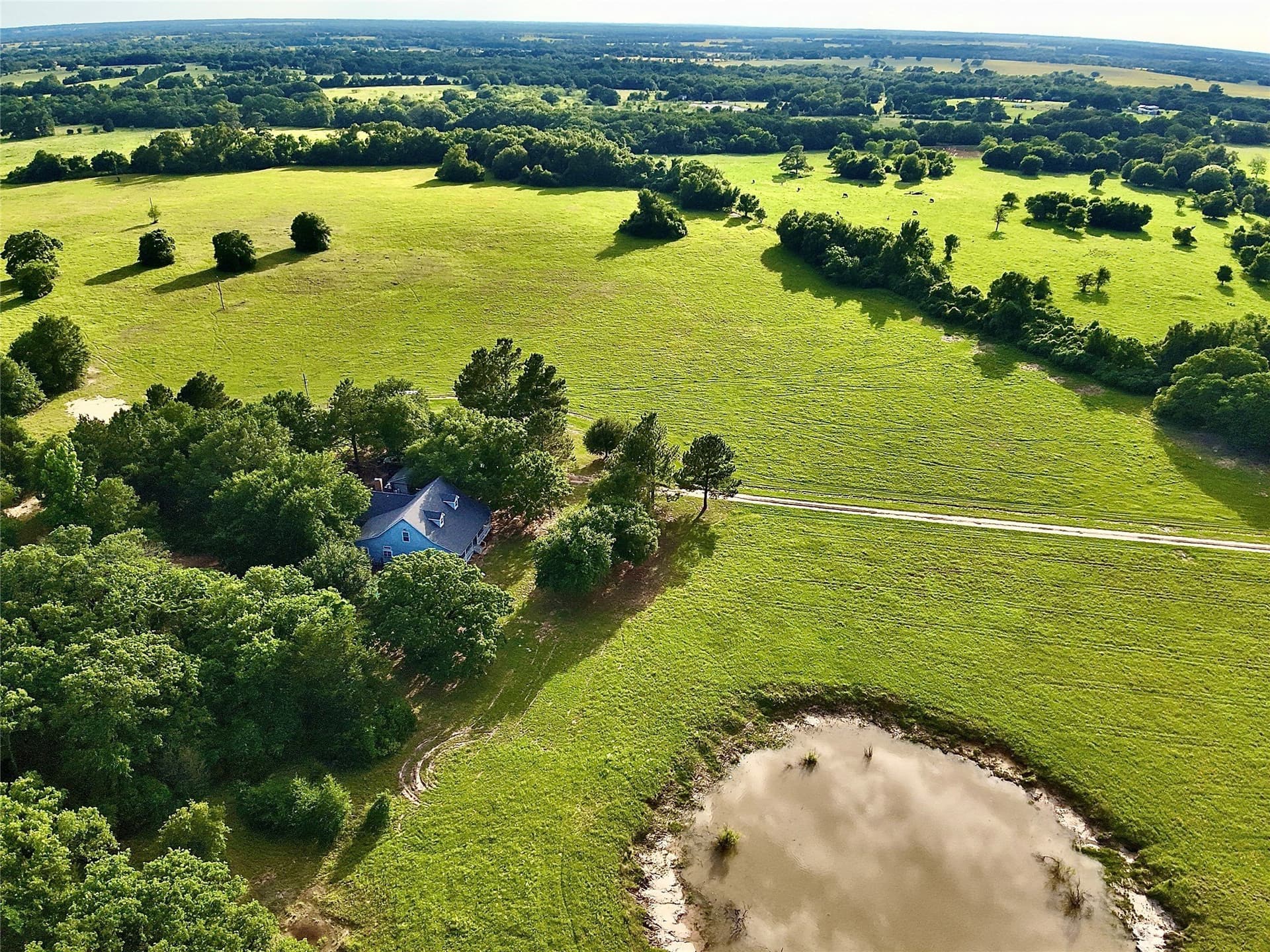88 acres in Limestone County - photo 15