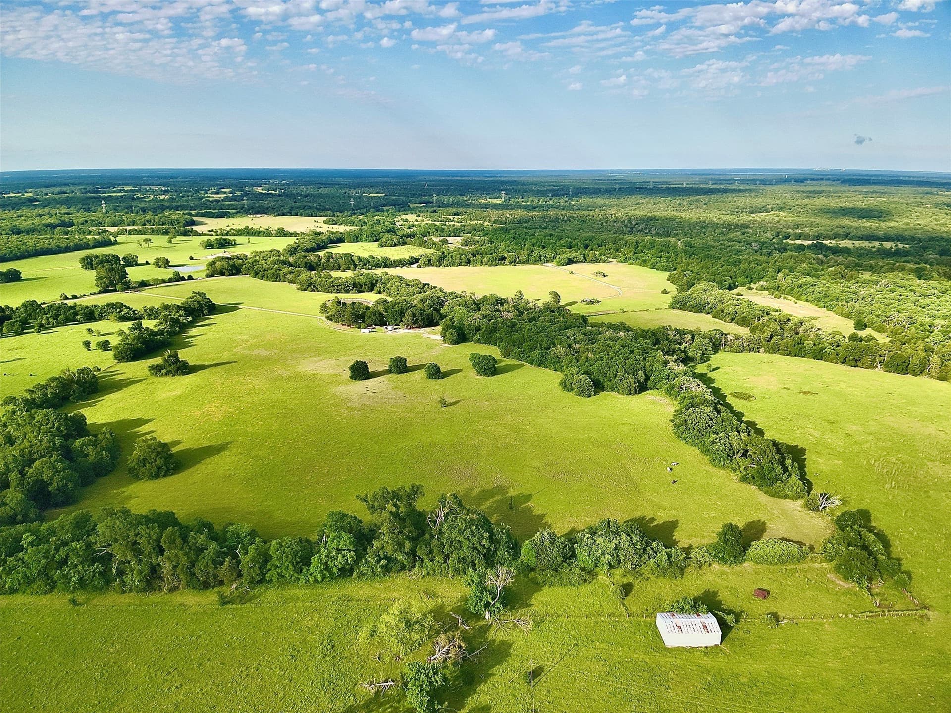 88 acres in Limestone County - photo 6