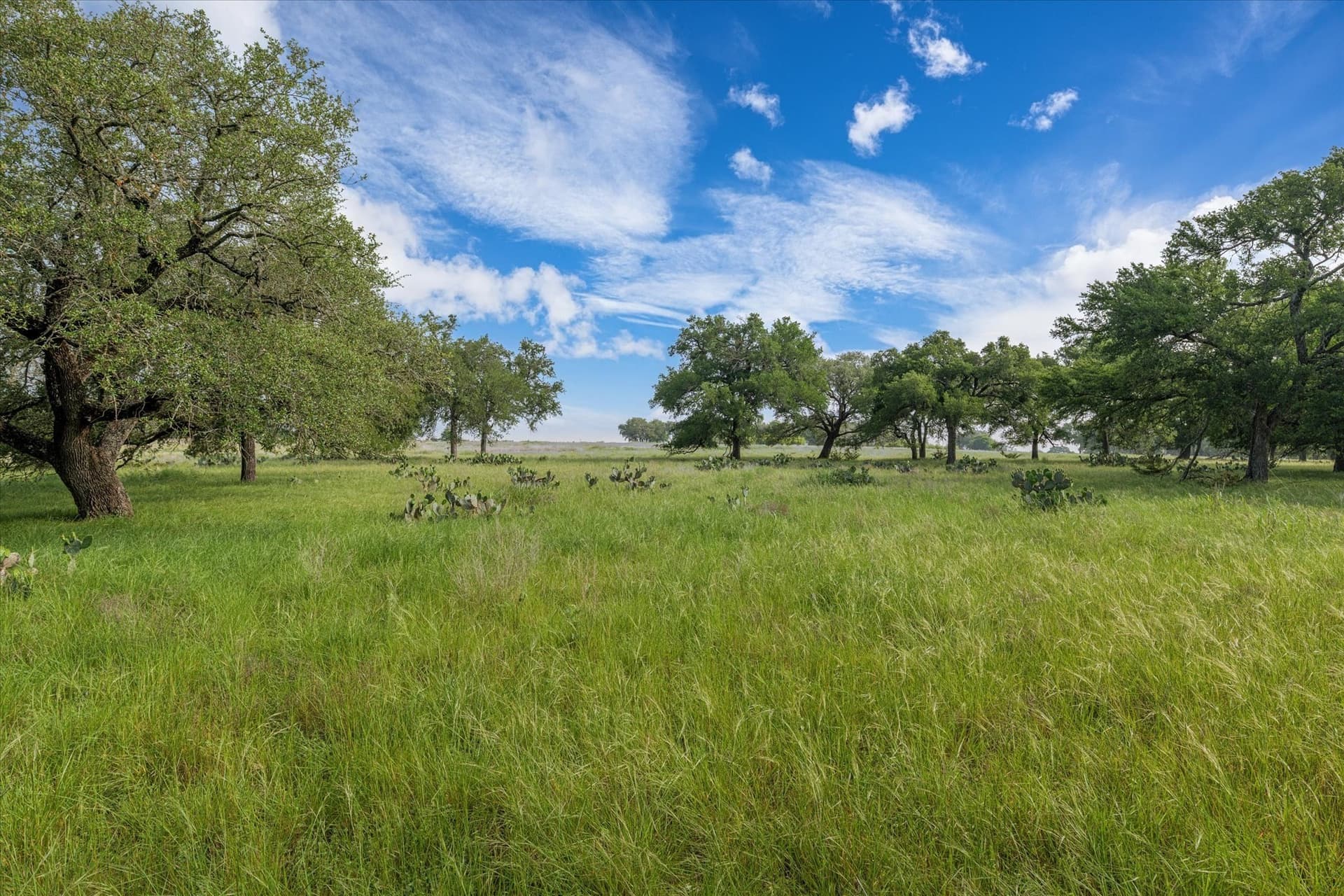 5.5 acres in Coryell County - photo 7