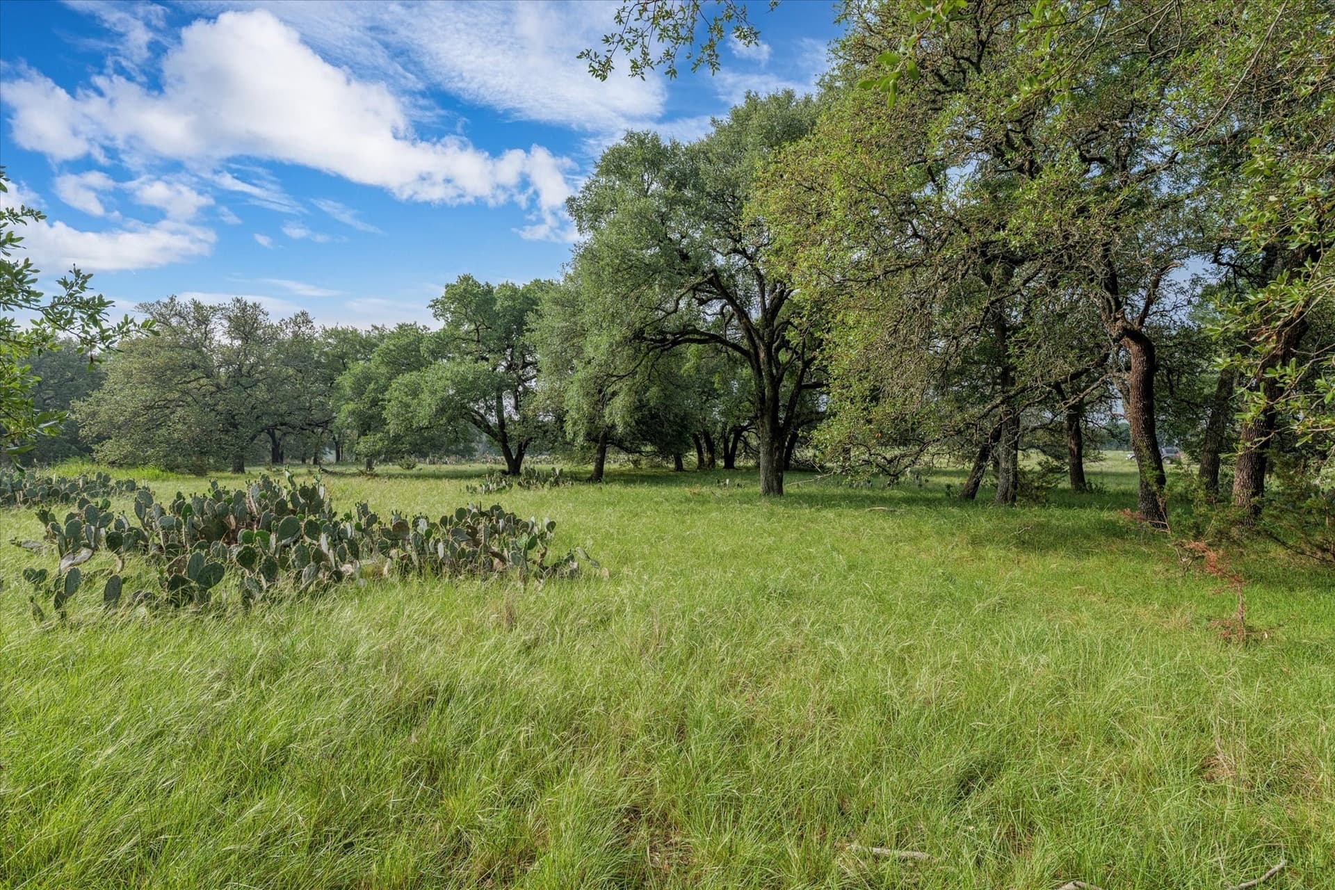 5.5 acres in Coryell County - photo 6