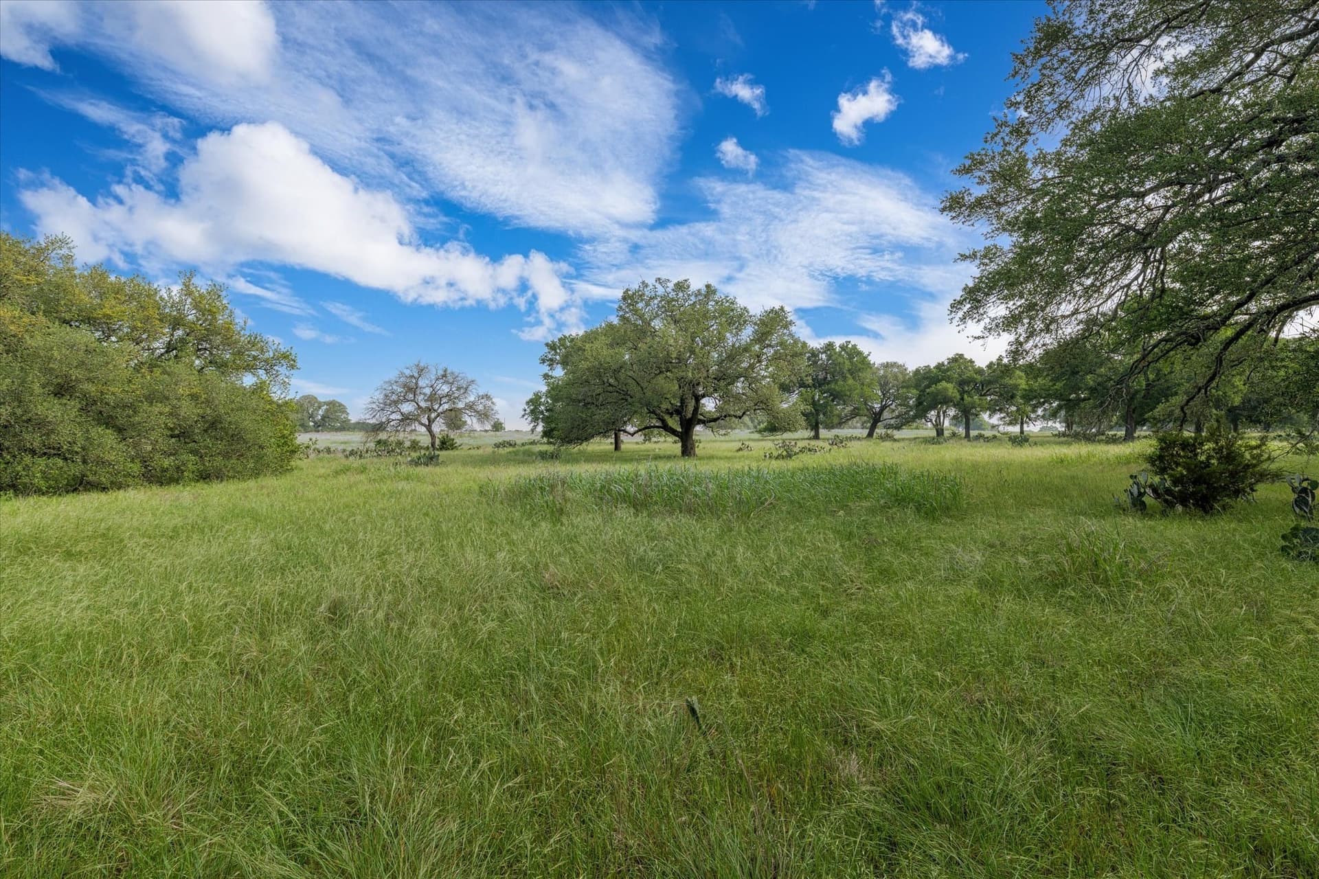 5.5 acres in Coryell County - photo 9