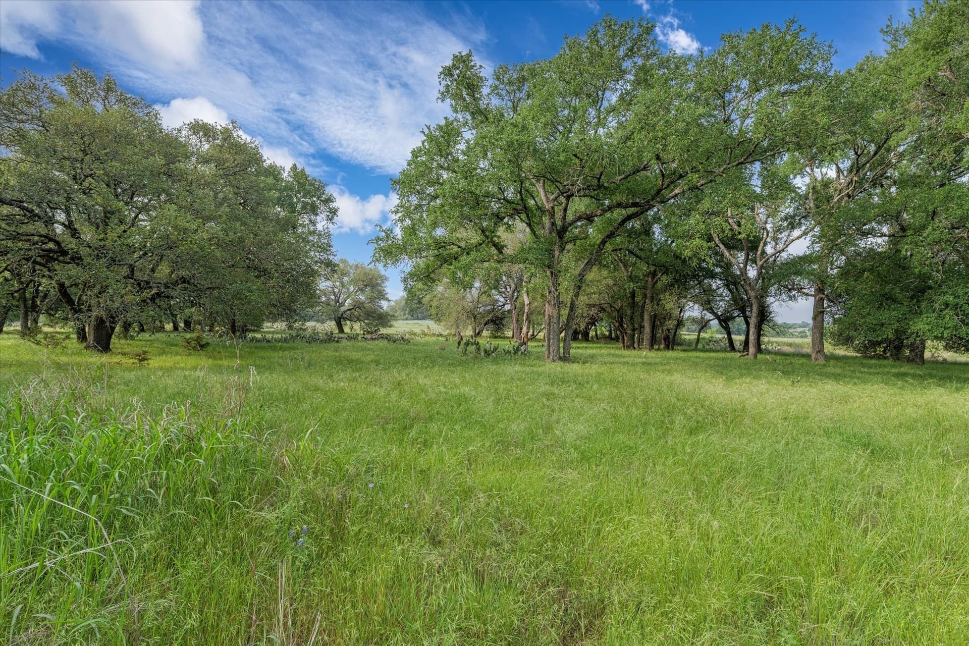 5.5 acres in Coryell County - photo 8