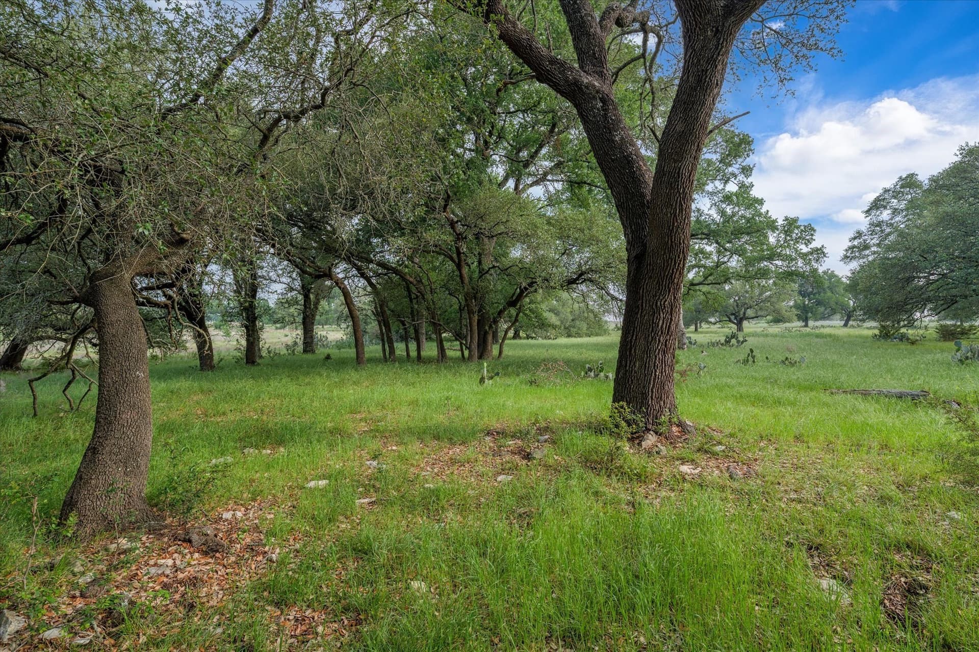 5.5 acres in Coryell County - photo 11