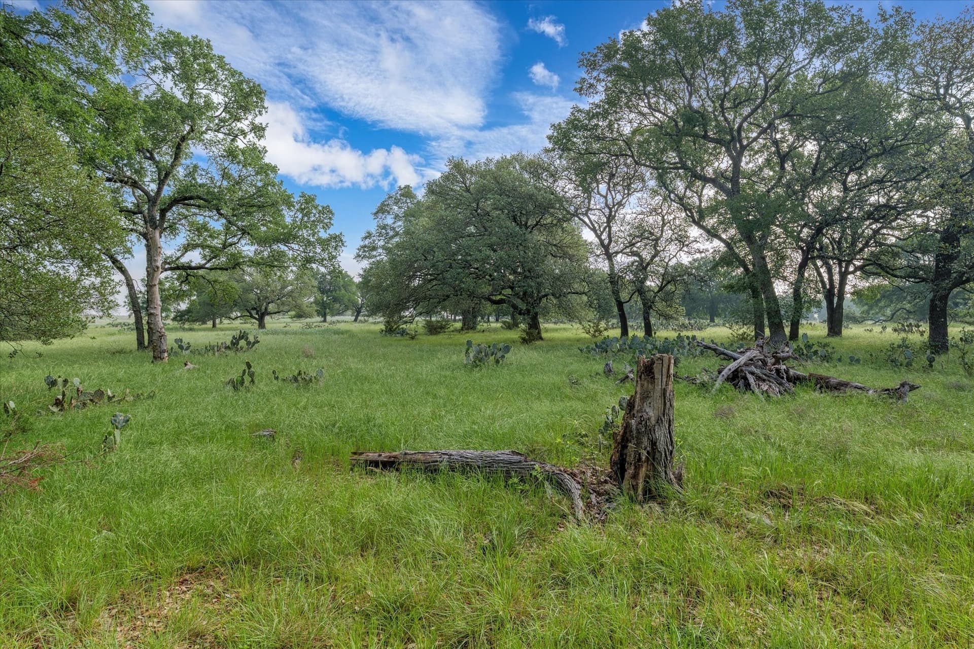 5.5 acres in Coryell County - photo 10