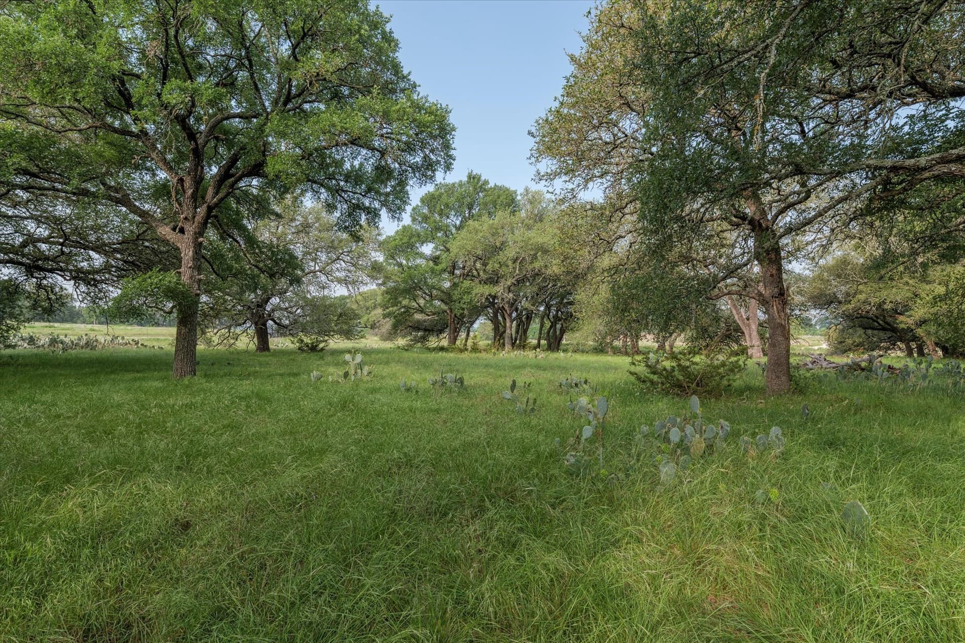 5.5 acres in Coryell County featured view