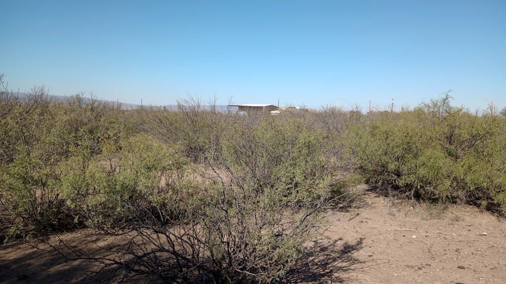 1.75 acres in Jeff Davis County - photo 8