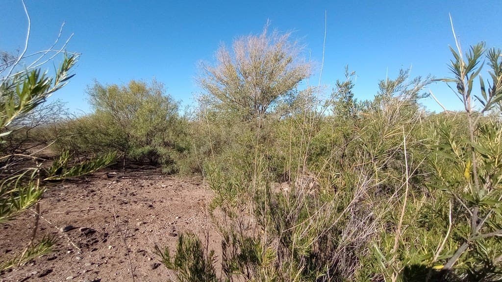 1.75 acres in Jeff Davis County - photo 9