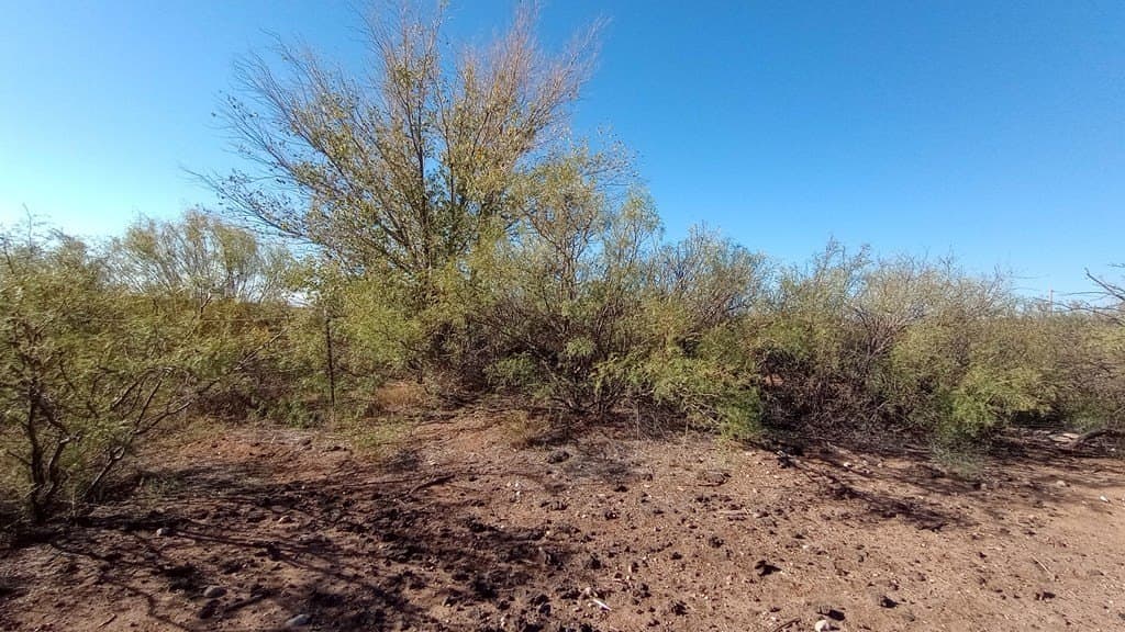 1.75 acres in Jeff Davis County - photo 10