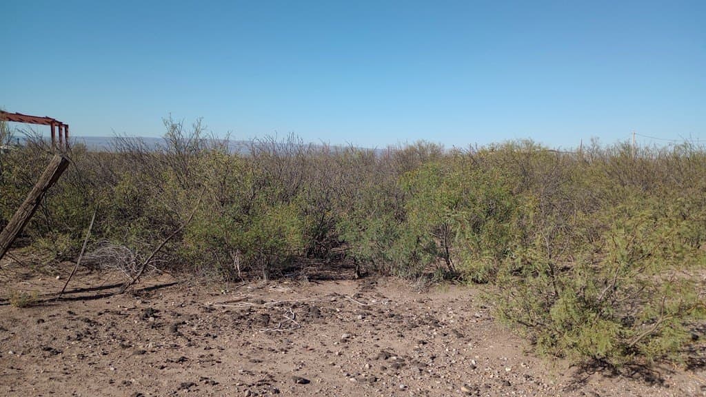 1.75 acres in Jeff Davis County featured view