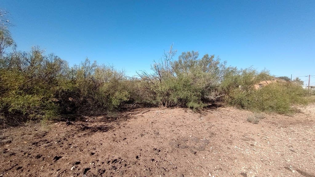 1.75 acres in Jeff Davis County - photo 11