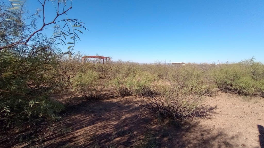 1.75 acres in Jeff Davis County - photo 7