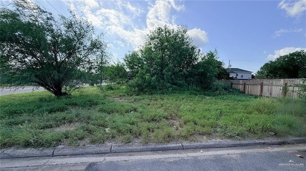 0.16 acres in Hidalgo County gallery image 2