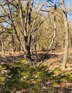 30 acres in Kaufman County