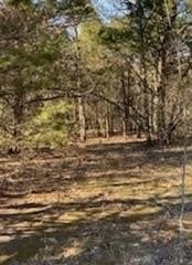 30 acres in Kaufman County gallery image 4