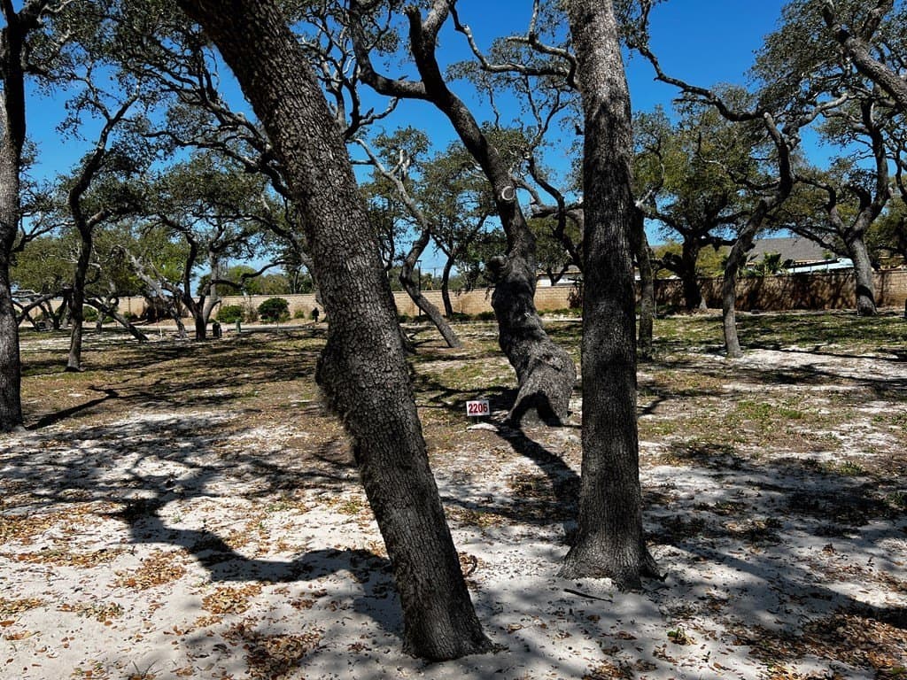 0.11 acres in Texas County gallery image 2
