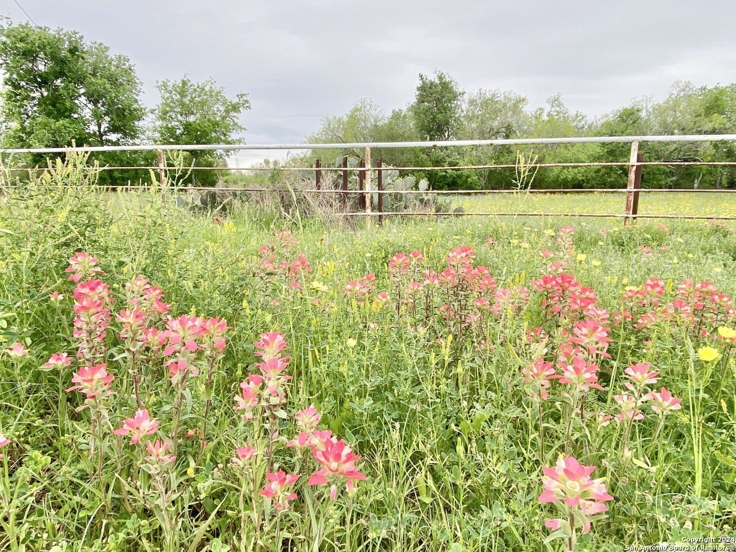 5 acres in Wilson County gallery image 2