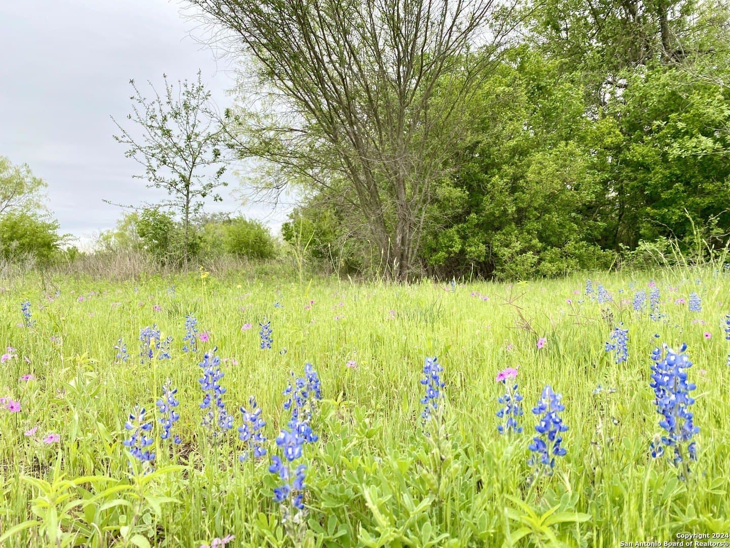 5 acres in Wilson County - photo 6