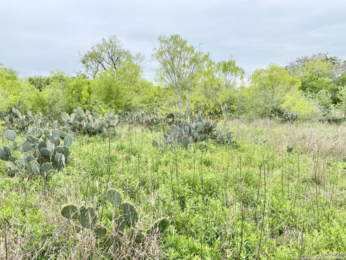 5 acres in Wilson County - photo 7