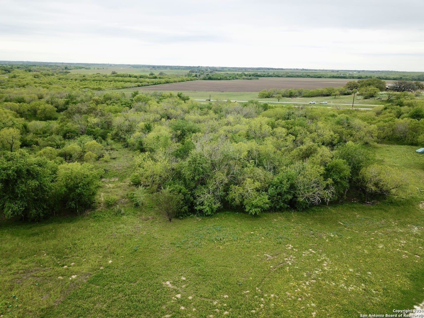 5 acres in Wilson County - photo 15