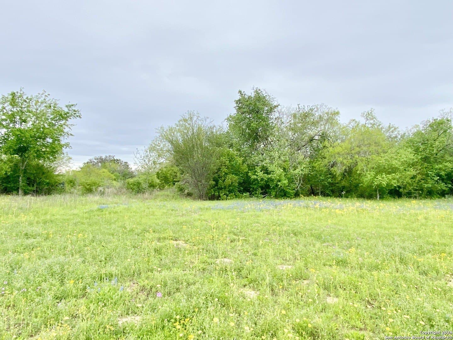 5 acres in Wilson County gallery image 3