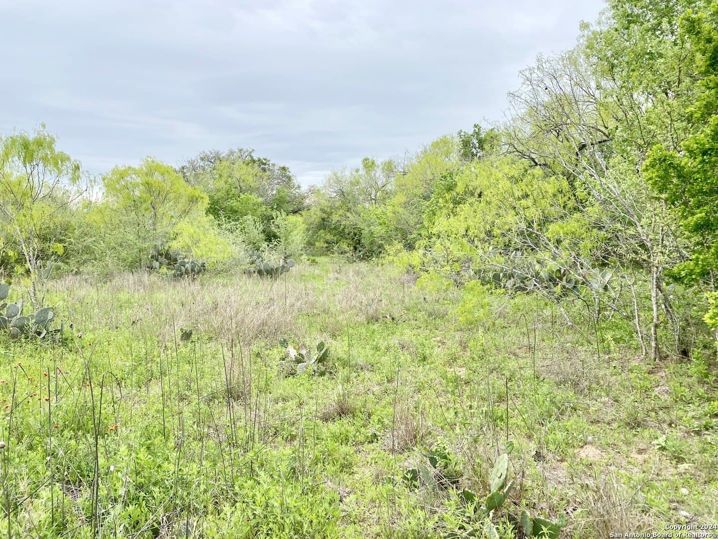 5 acres in Wilson County - photo 8