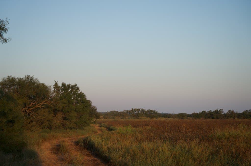 125.42 acres in McCulloch County - photo 9