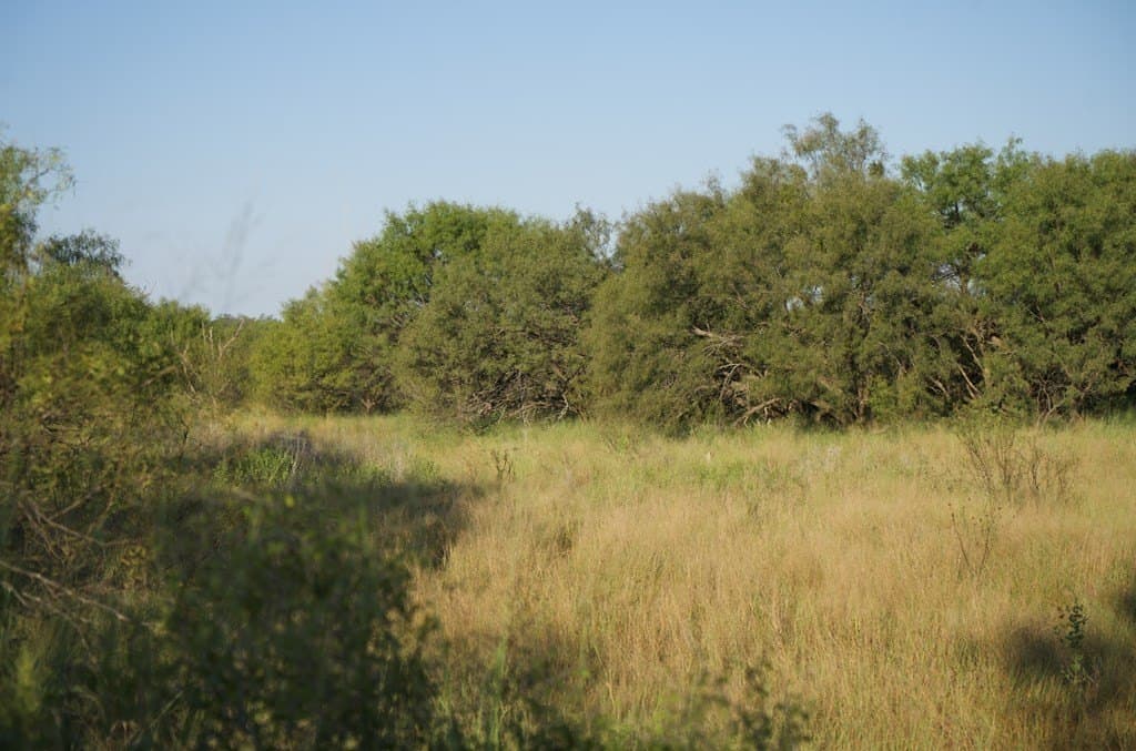 125.42 acres in McCulloch County - photo 33