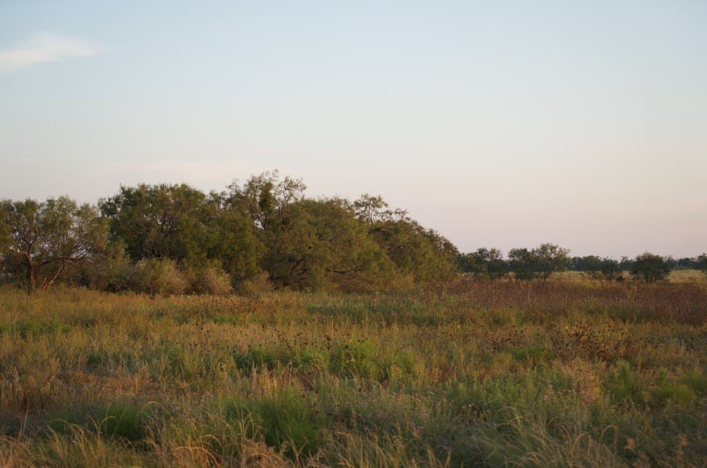 125.42 acres in McCulloch County - photo 8