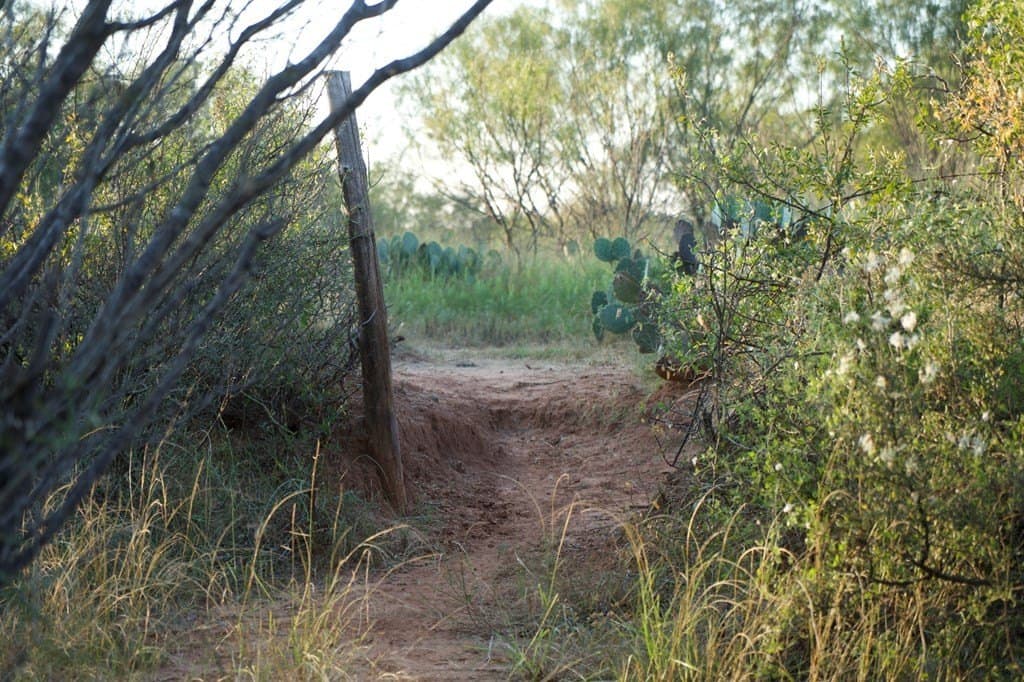 125.42 acres in McCulloch County - photo 19