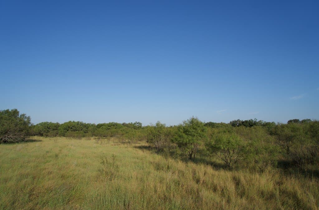 125.42 acres in McCulloch County - photo 34