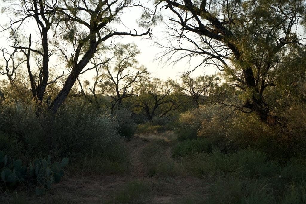 125.42 acres in McCulloch County