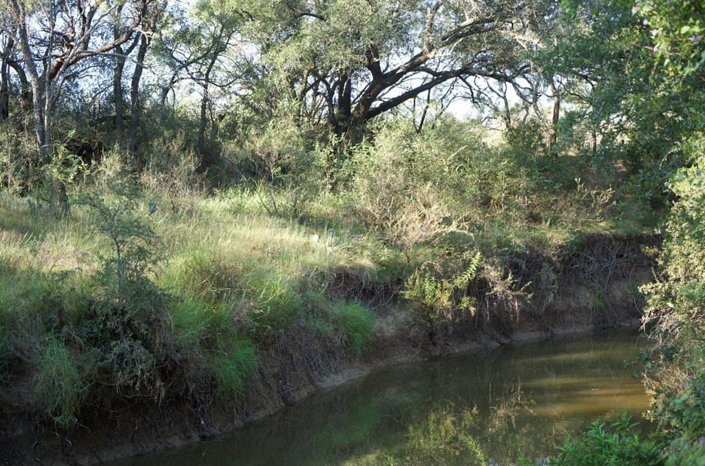 125.42 acres in McCulloch County - photo 42