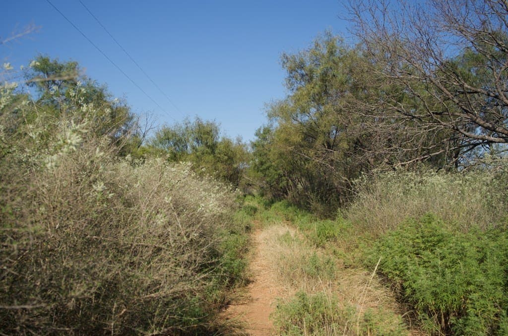 125.42 acres in McCulloch County - photo 44