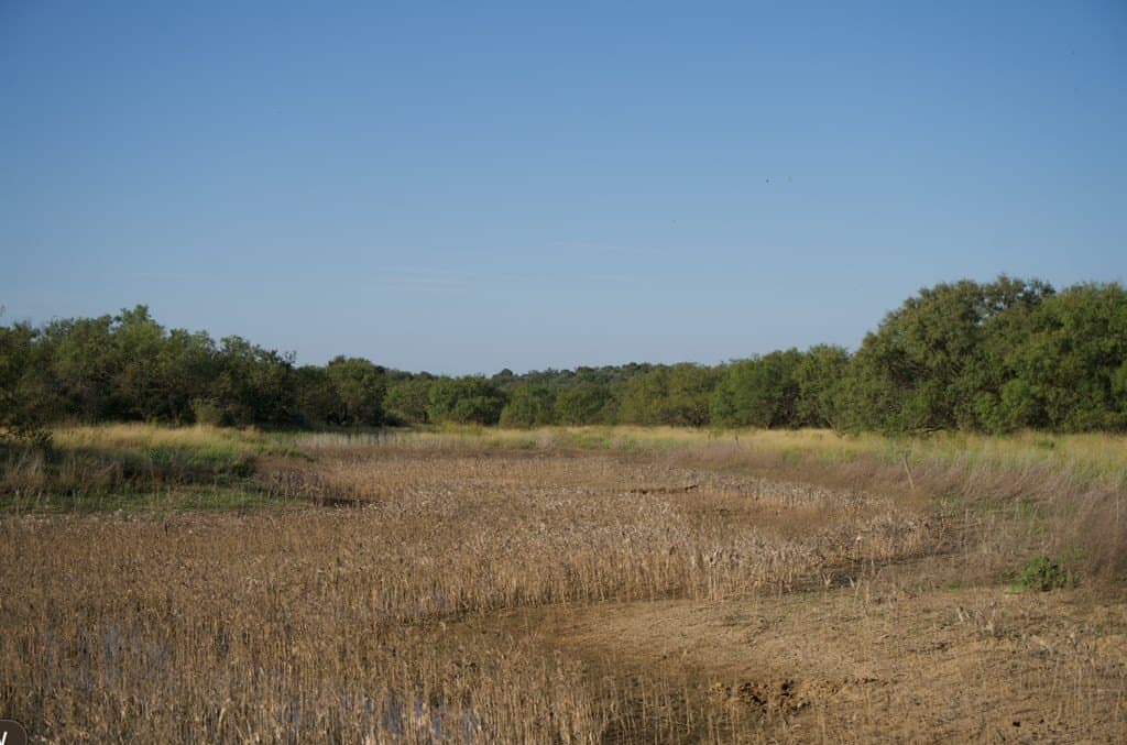 125.42 acres in McCulloch County - photo 36