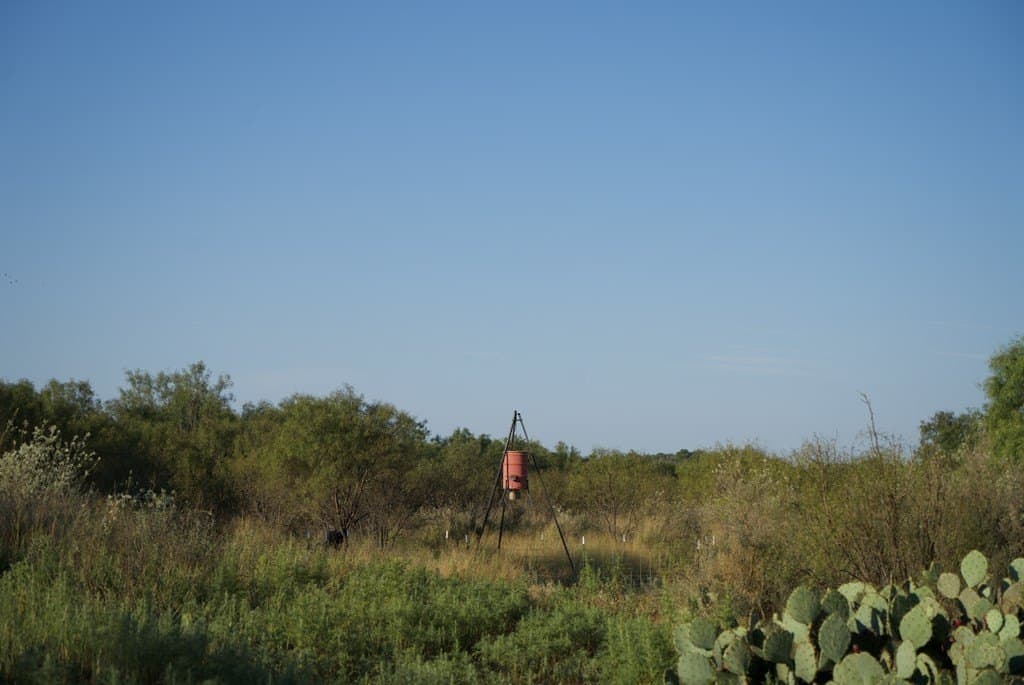 125.42 acres in McCulloch County - photo 31
