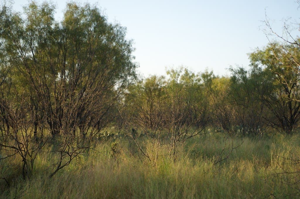 125.42 acres in McCulloch County - photo 22