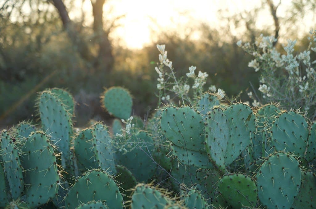 125.42 acres in McCulloch County - photo 16