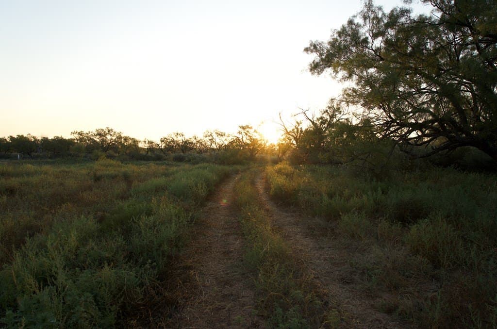125.42 acres in McCulloch County - photo 11