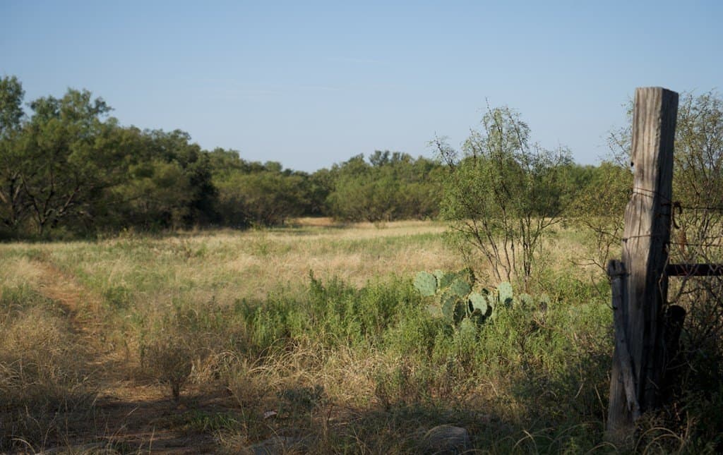 125.42 acres in McCulloch County - photo 38