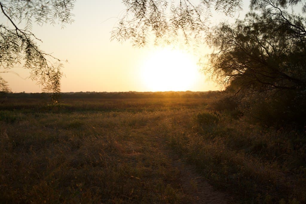 125.42 acres in McCulloch County - photo 7