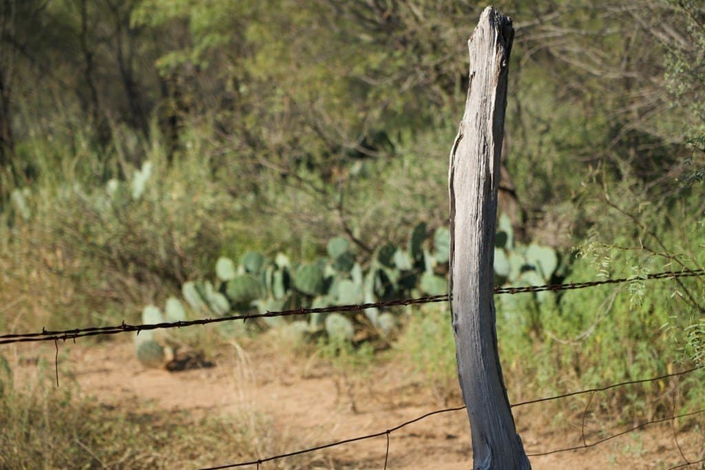 125.42 acres in McCulloch County - photo 43