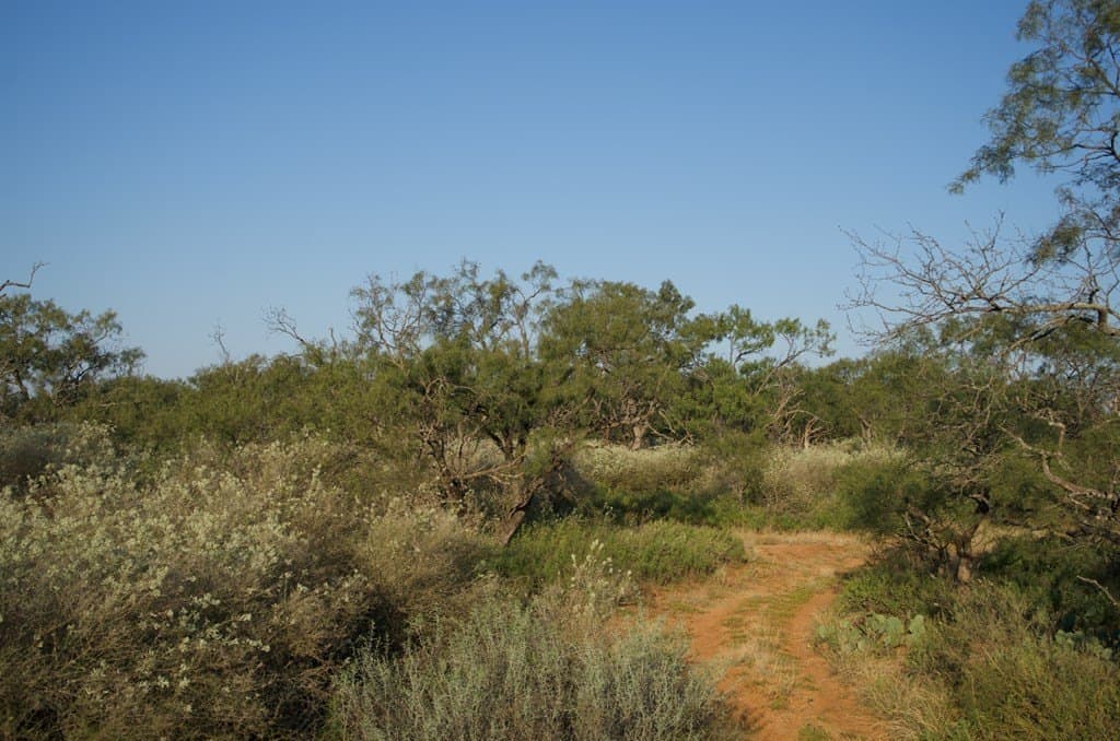125.42 acres in McCulloch County - photo 24