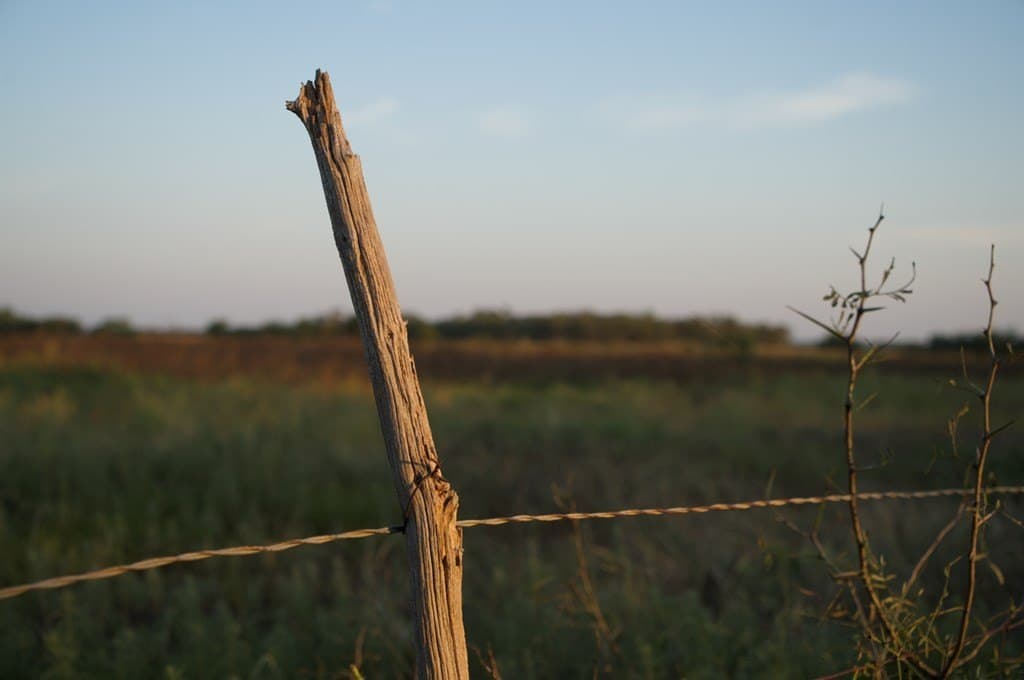 125.42 acres in McCulloch County - photo 12