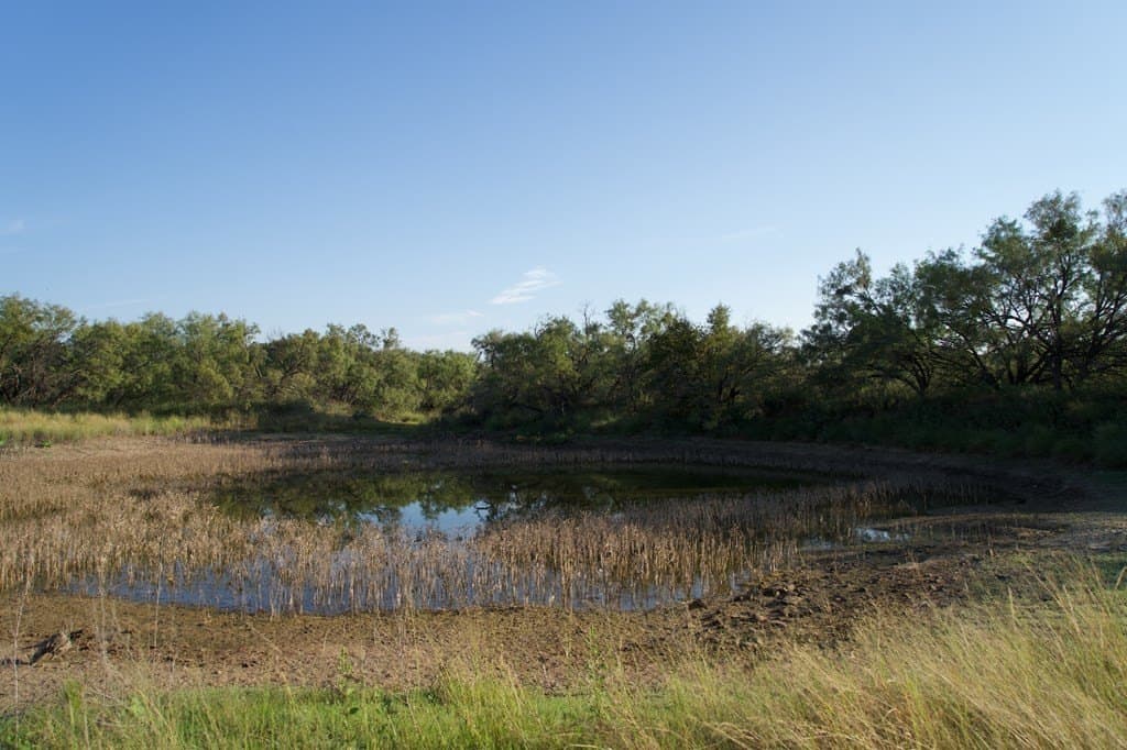 125.42 acres in McCulloch County - photo 32