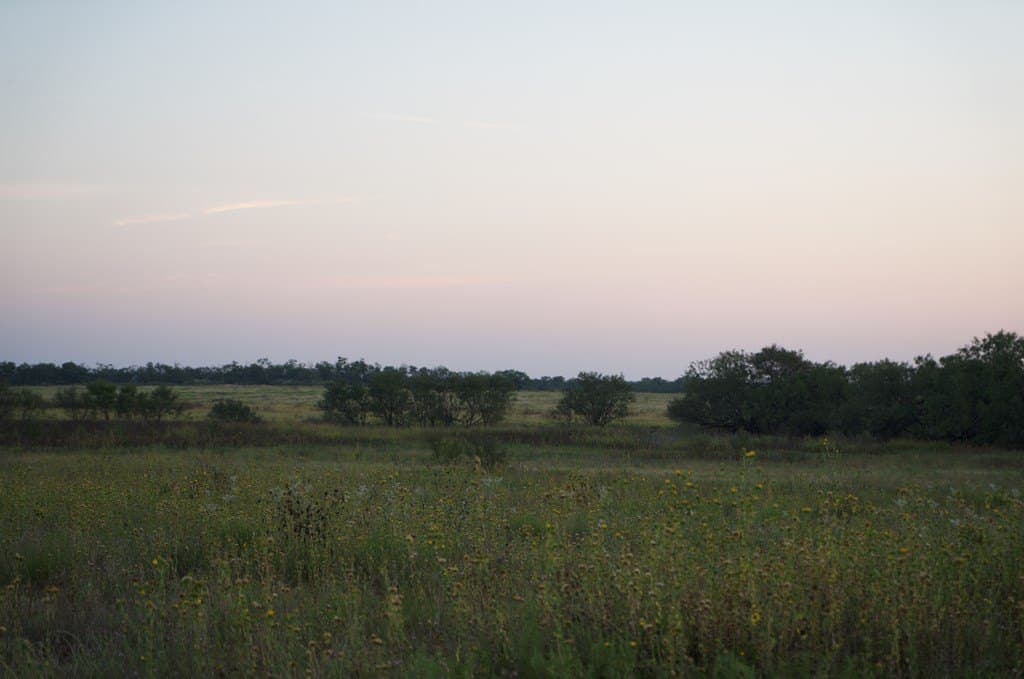 125.42 acres in McCulloch County gallery image 4