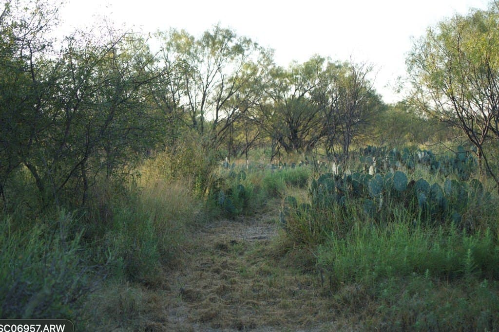 125.42 acres in McCulloch County - photo 20