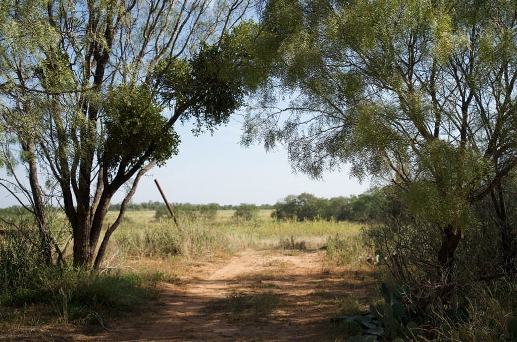 125.42 acres in McCulloch County - photo 64