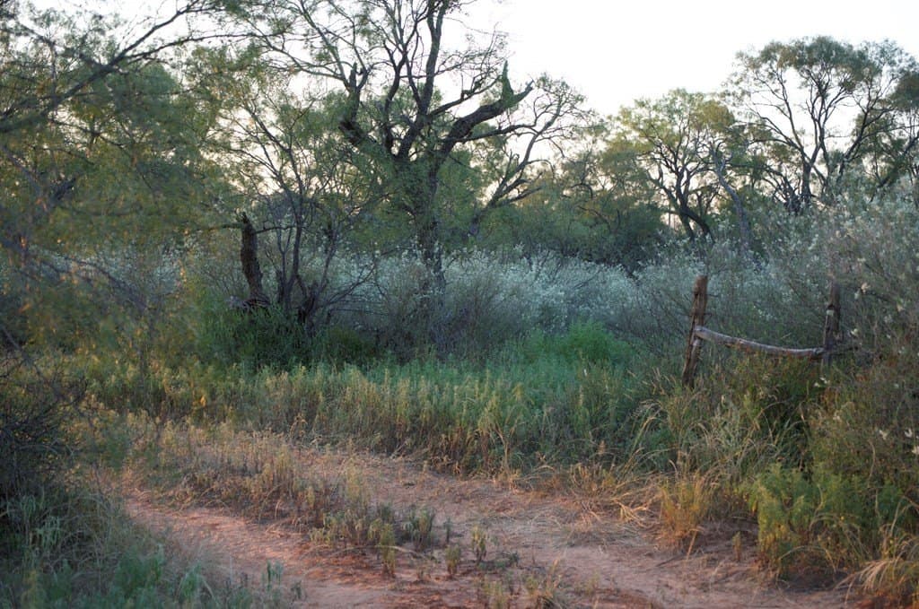 125.42 acres in McCulloch County - photo 6